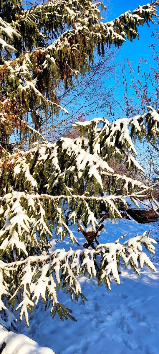 Зимой из дома с кондачка не уехать... 