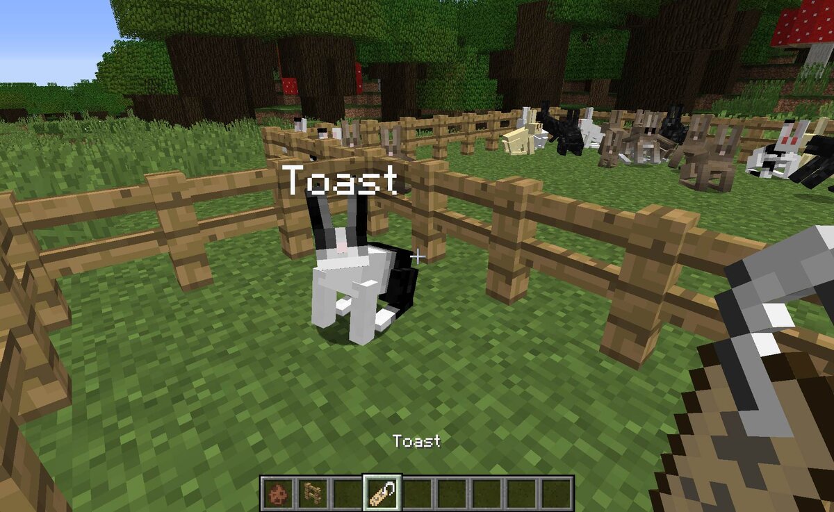 Кролик с именем Тост