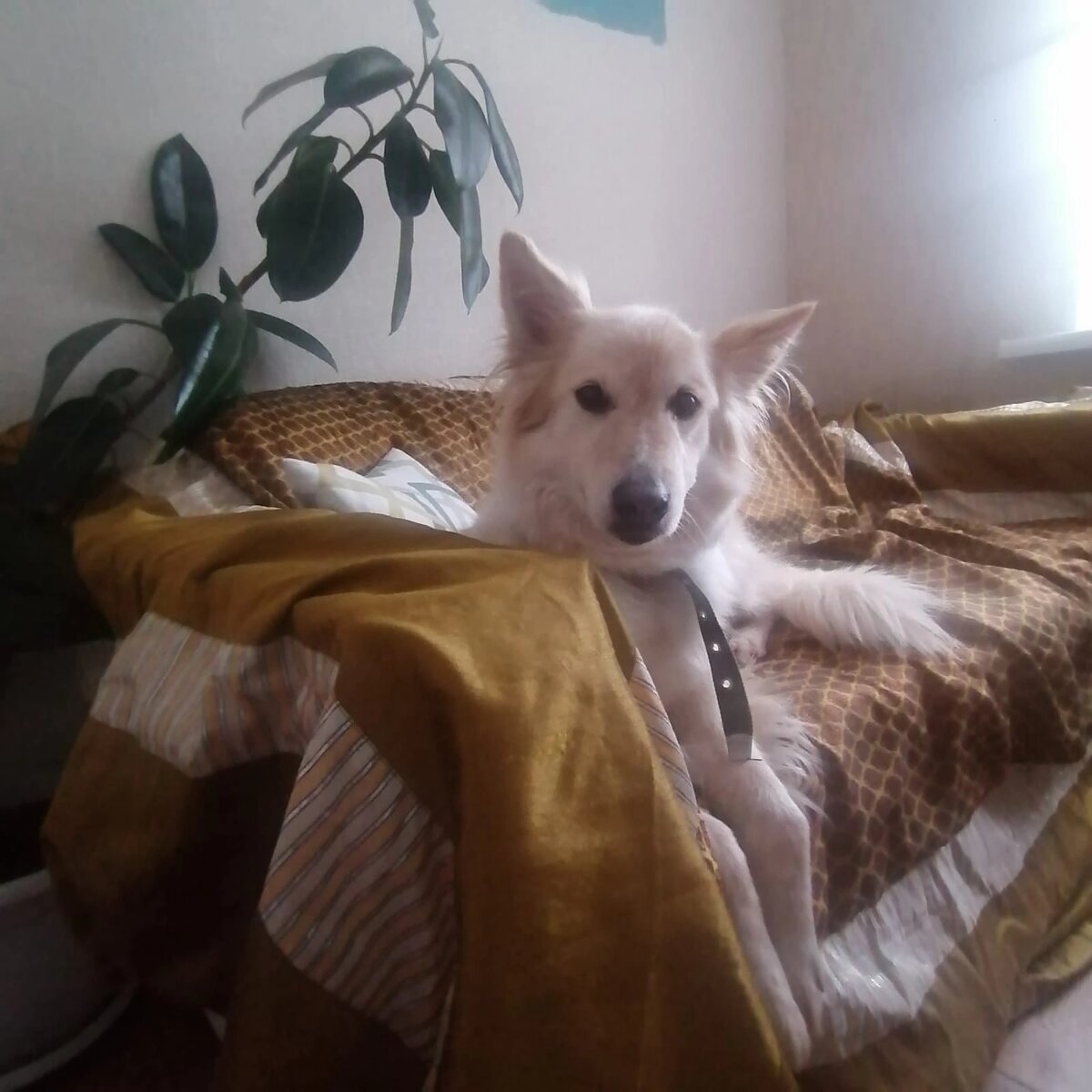 Маша уехала в Санкт-Петербург 