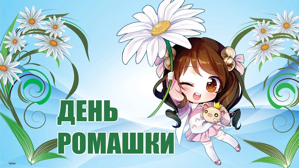 День ромашки. Иллюстрация: «Весь Искитим»