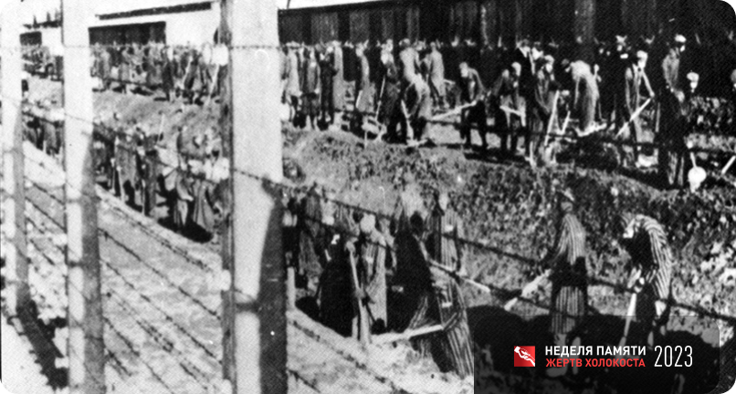 Фото: Wikimedia Commons