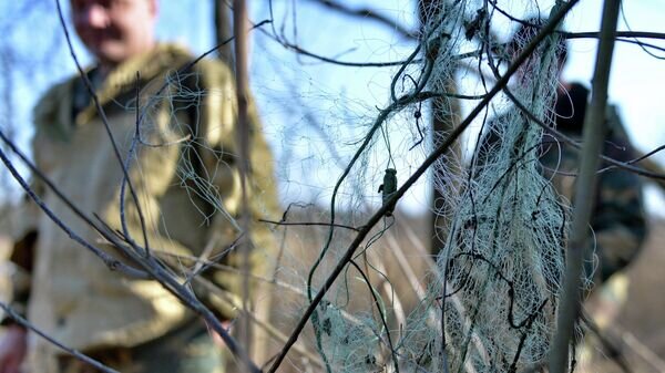    © Sputnik / Виктор Толочко