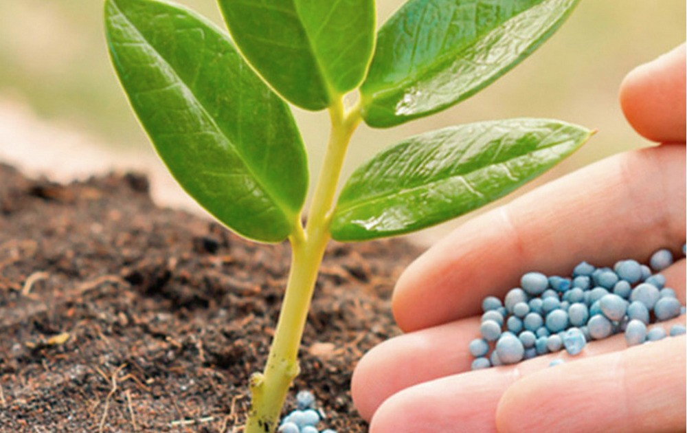 Роль элементов в растениях. Удобрения для растений. Удобрение почвы. Минеральное питание растений. Минеральные вещества для растений.
