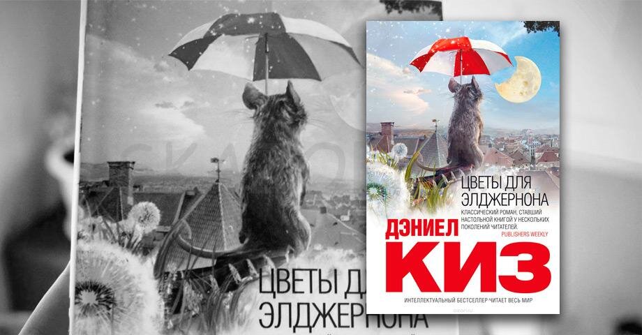 Презентация по книге цветы для элджернона