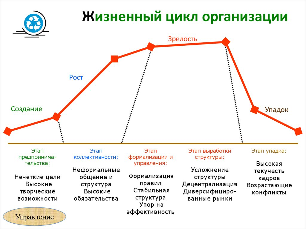 Вторая стадии жизненного цикла