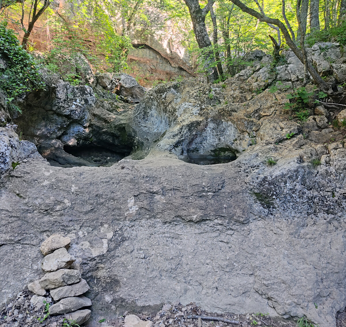  В этом месте я вижу глаза, которые смотрят прямо на меня