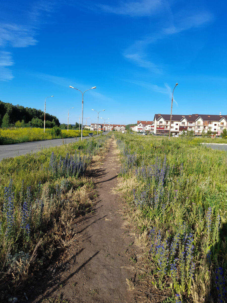 "Доброе утро, мир! Ты прекрасен!"Фото автора