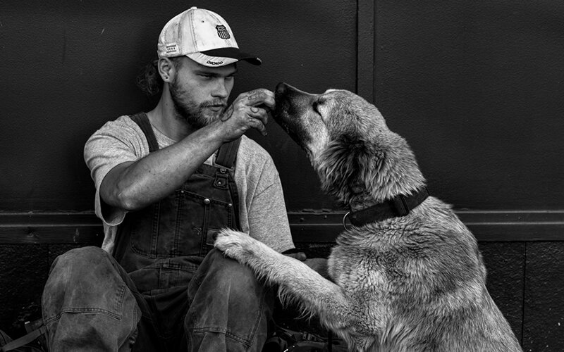 Иногда боязнь собак маскирует какие-то более сложные психологические проблемы, но даже в этом случае от нее вполне можно избавиться. При желании, конечно. Фото Leroy Skalstad/Pixabayно. Фото Leroy Skalstad/Pixabay