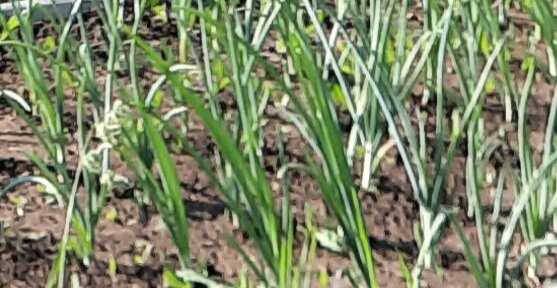 Все фото из личного архива