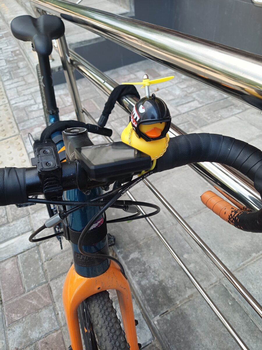 рекламная картинка про модного утенка на руле)