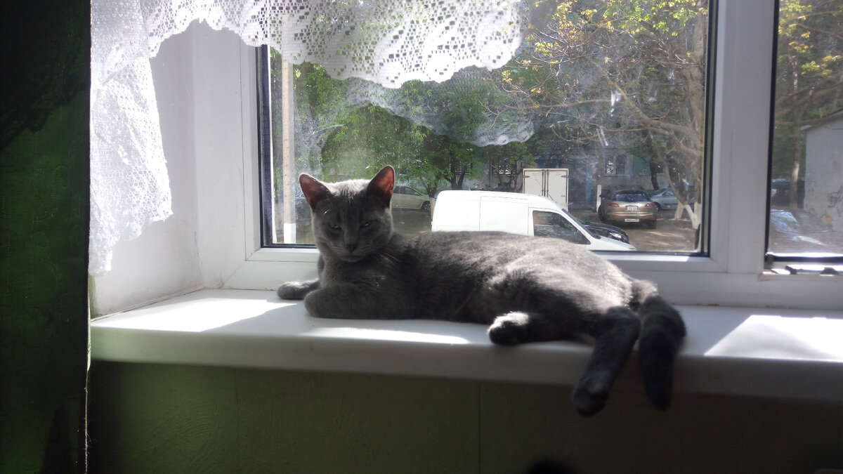 Красавец Юрик