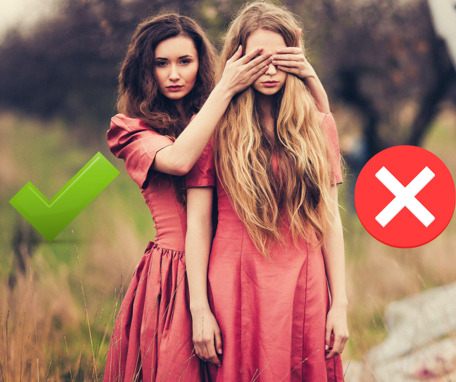 Иллюстрации к тесту созданы автором, источник изображений pixabay.com