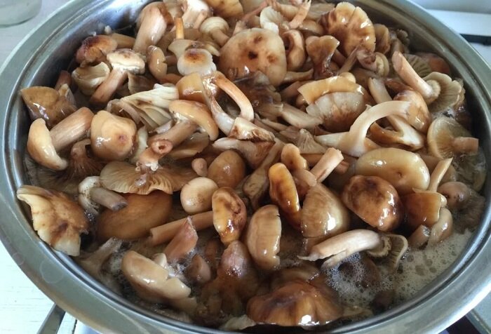 Рецепт самого удачного маринада для грибов: проверенный способ приготовления