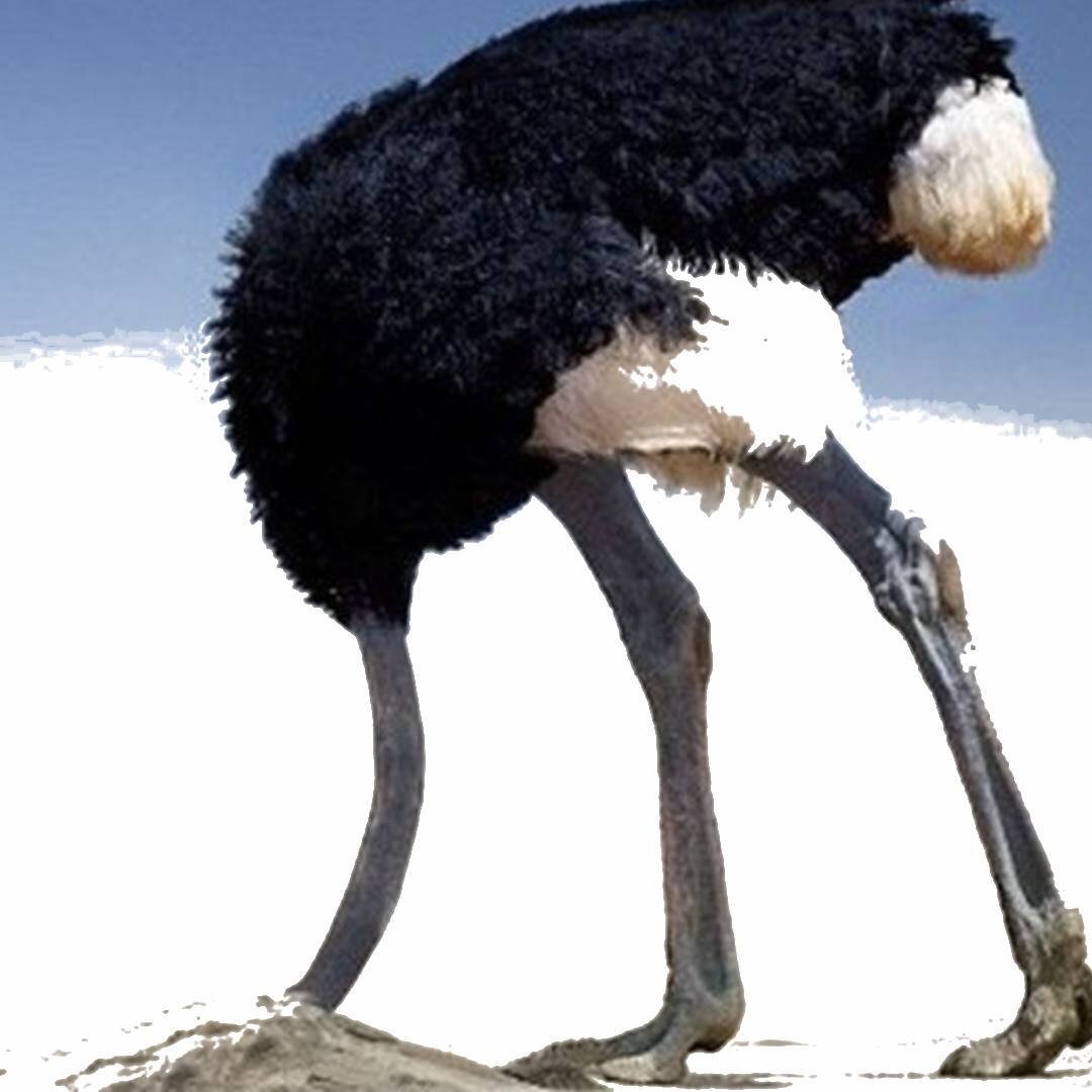 Проще спрятаться от проблемы