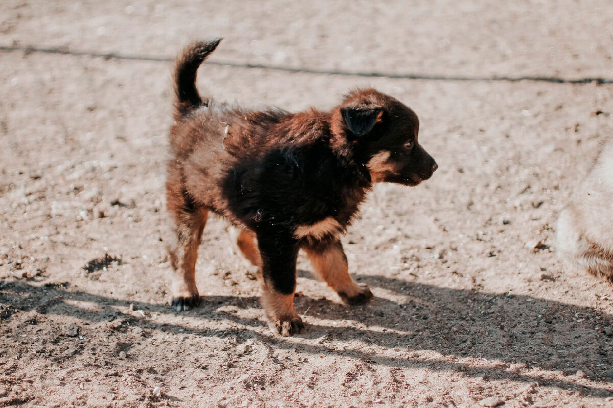 Эвори. Фото: Николай Каширин