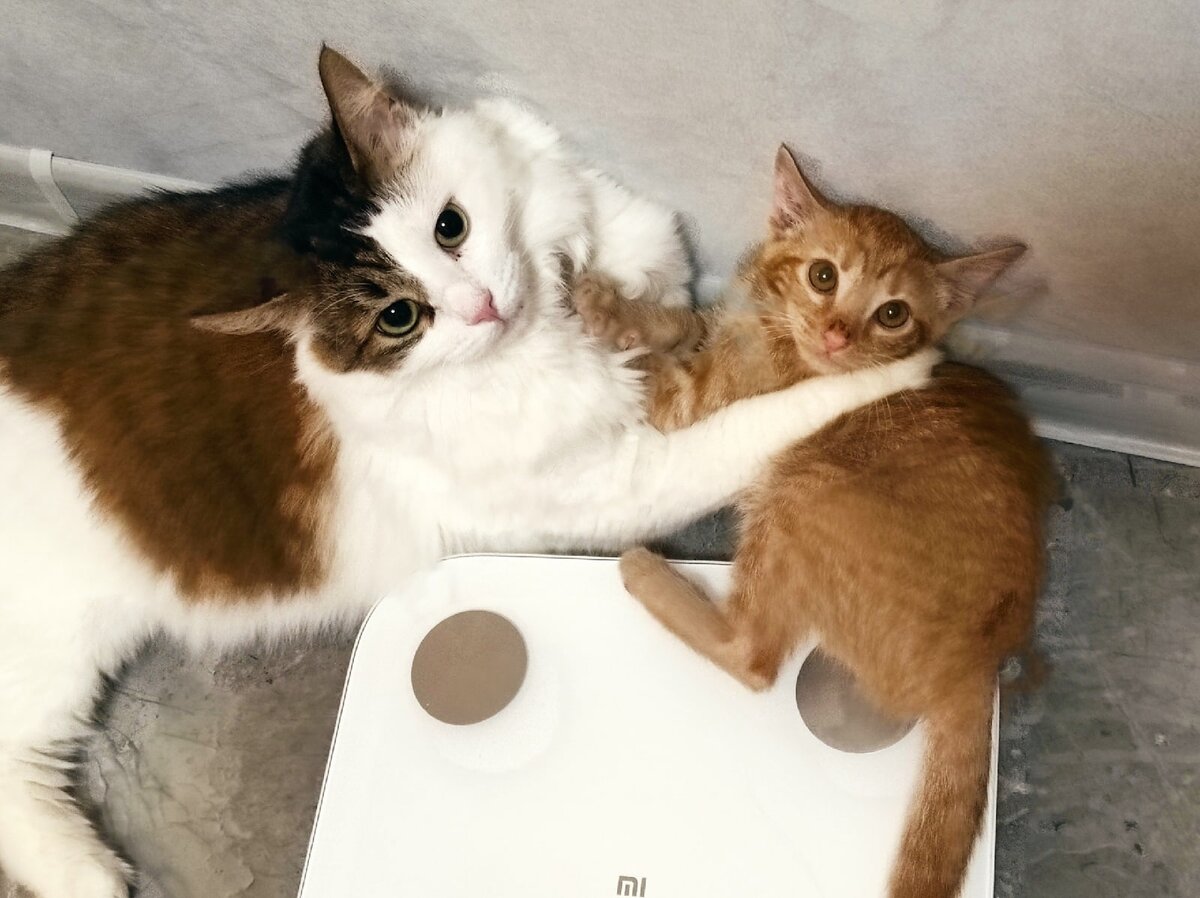 Гошка в первые дни.