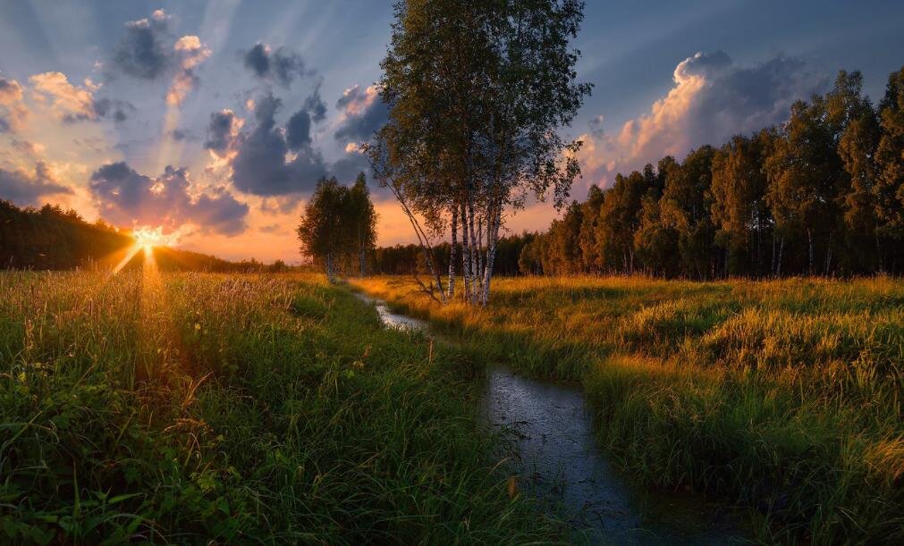 Фото — fotocdn.net