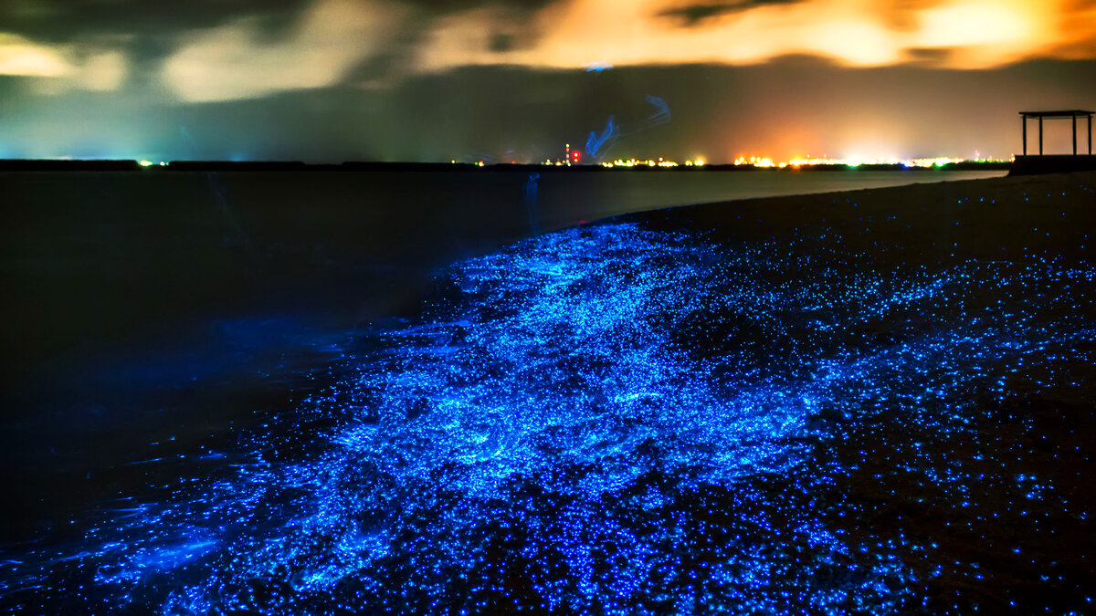Светящийся песок на Мальдивах