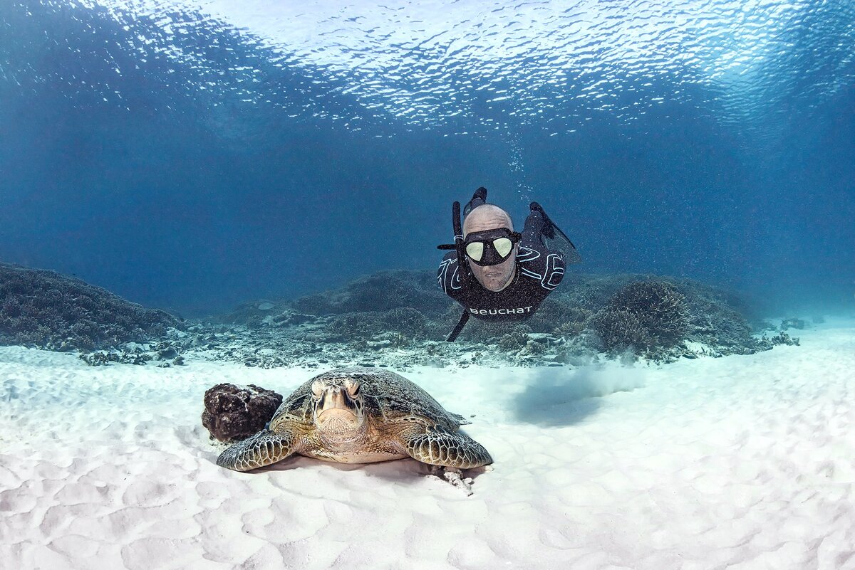 Подводный фотограф Кристиан Лэйн 