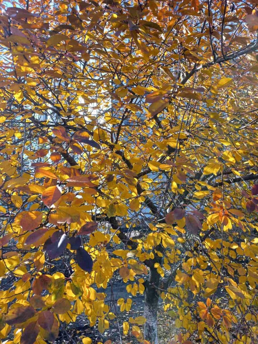 Фото автора.