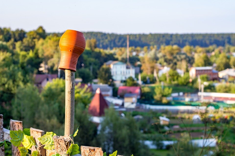 Фото: https://pixabay.com/