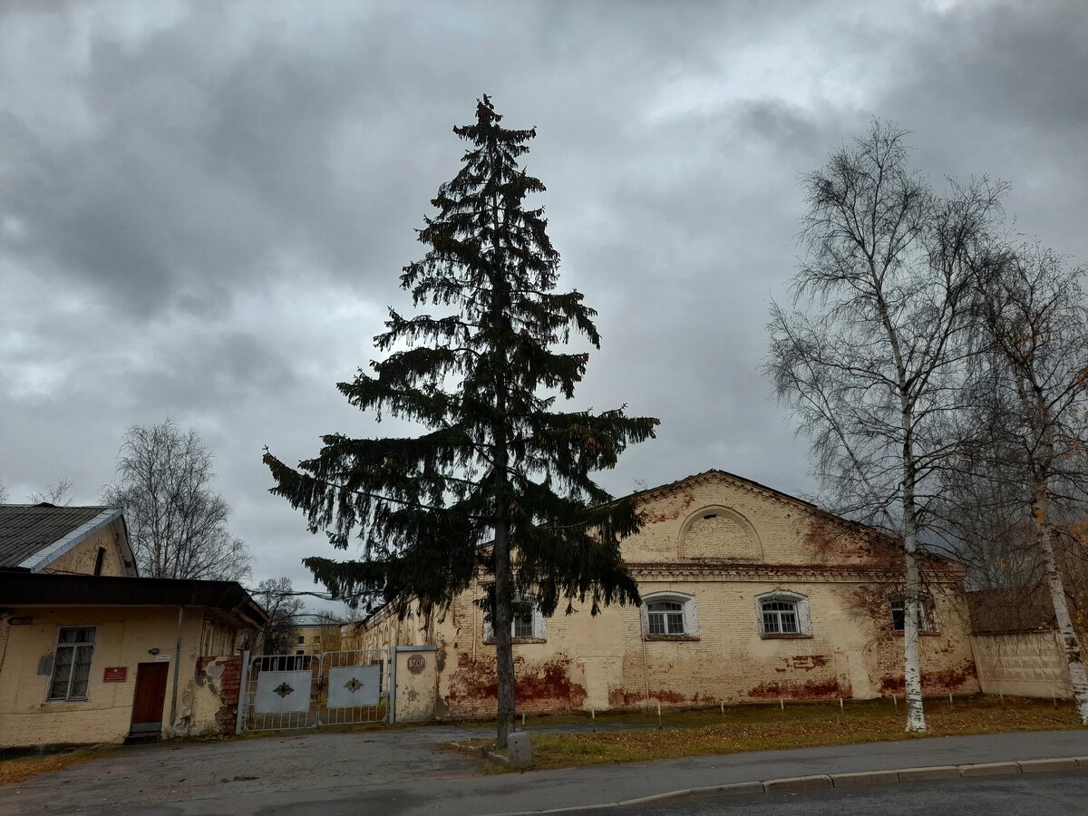 Авторское фото