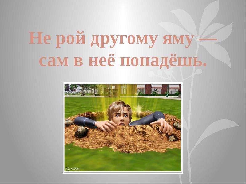 фото из открытых источников Яндекса