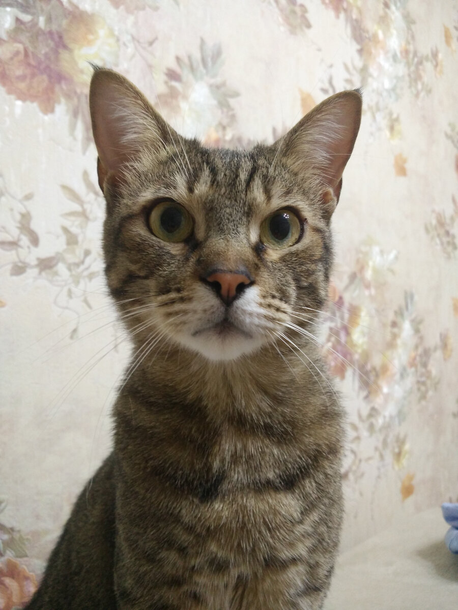 Ну, что смотришь? Открывай давай уже этот ящик!