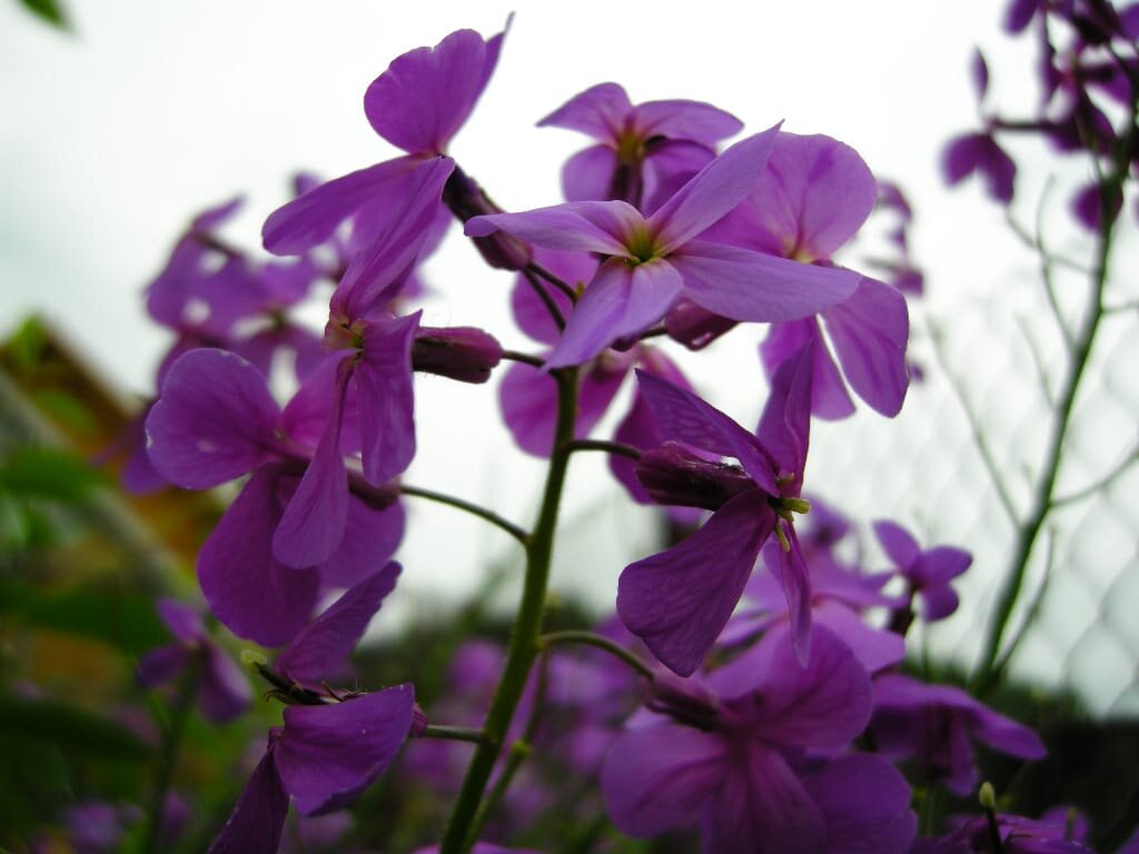 Фото автора для иллюстрации к тексту.