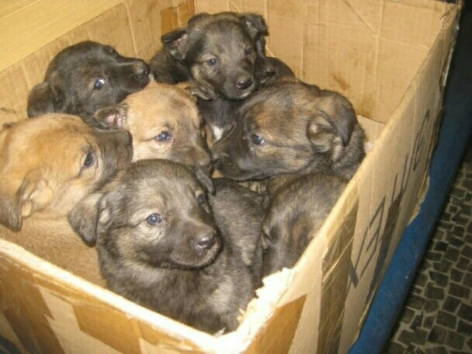 Добавьте описание