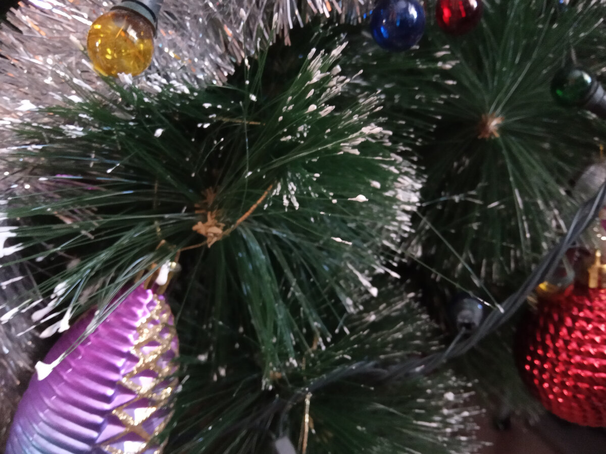 Фотография из личного архива автора