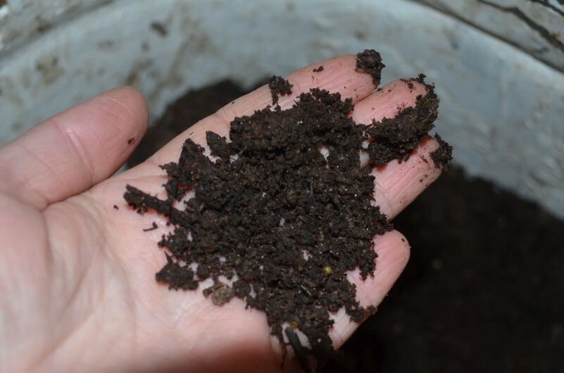 Почвенная смесь для посева овощей на рассаду.