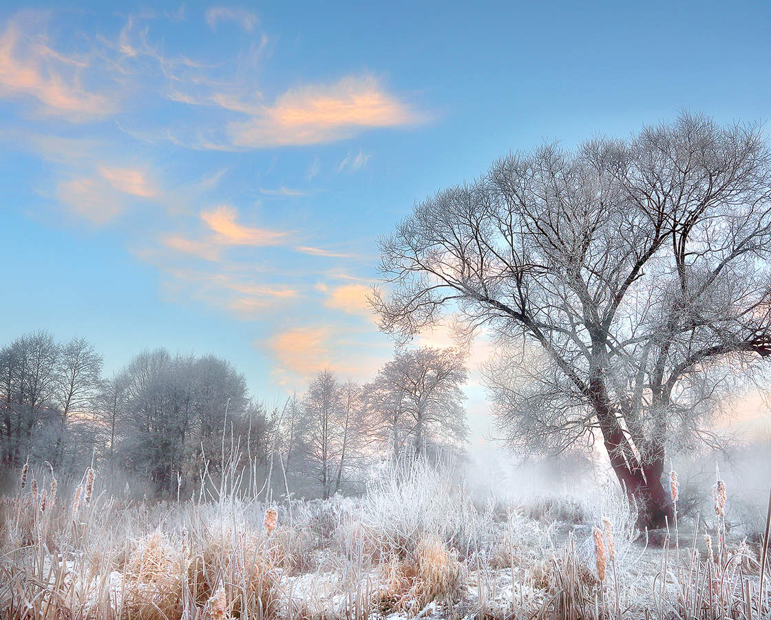 ФЕВРАЛЬ!.. Год Тигра, 2022й, начинается 1-го февраля