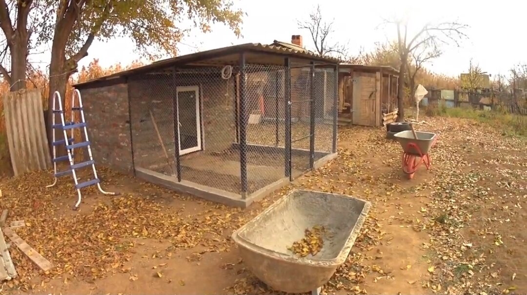 Наш новенький курятник