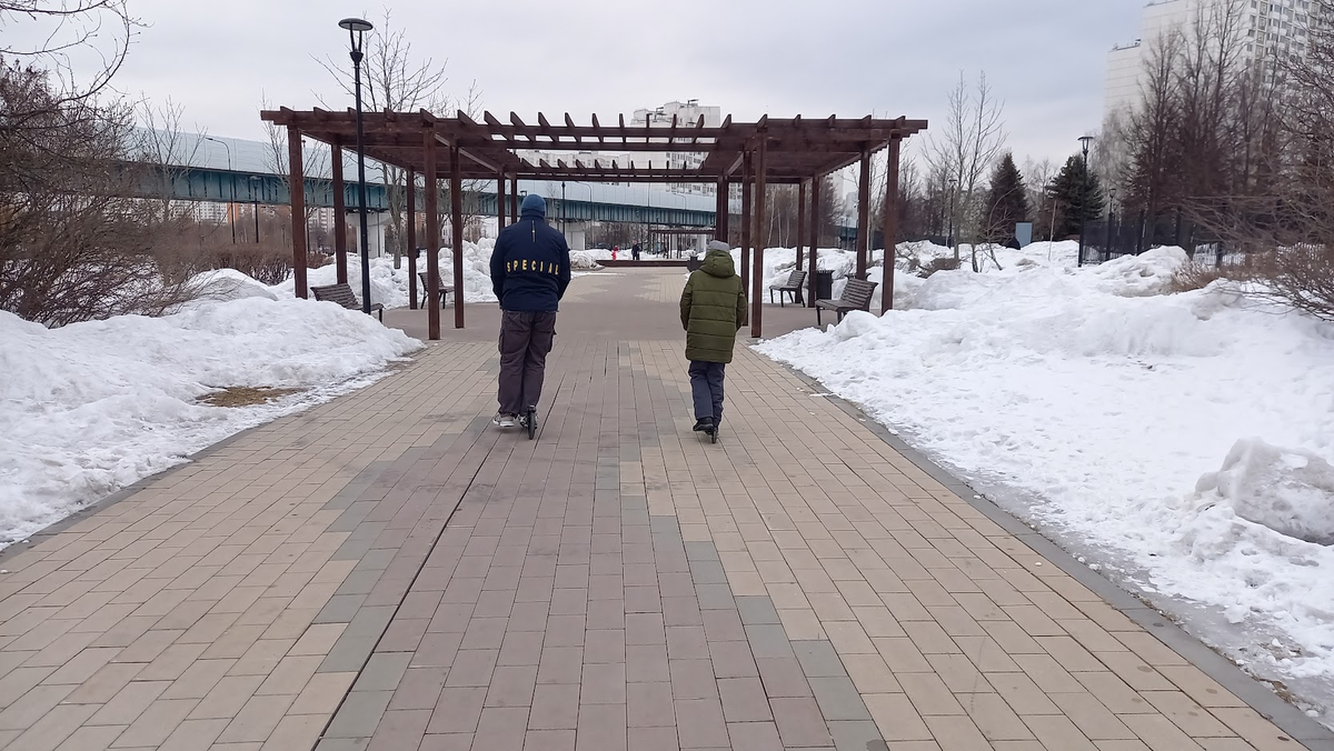 Фото с прогулки.