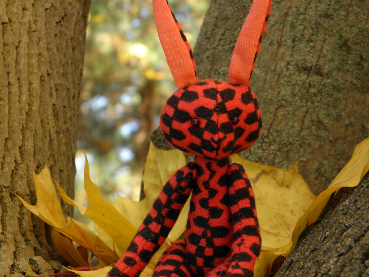 Зайка из моей коллекции. Фотографии авторские.