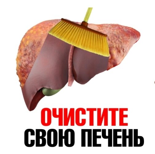 Печень чистить отзыв