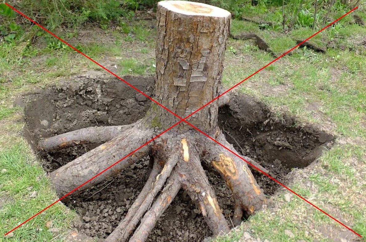 Для благоустройства или возведения построек на приусадебном участке иногда приходится спиливать мешающие деревья и выравнивать территорию.