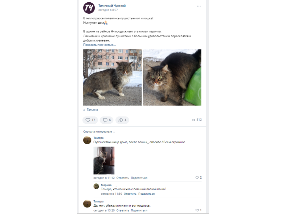 В этой группе увидела хозяйка наше объявление о ее кошке