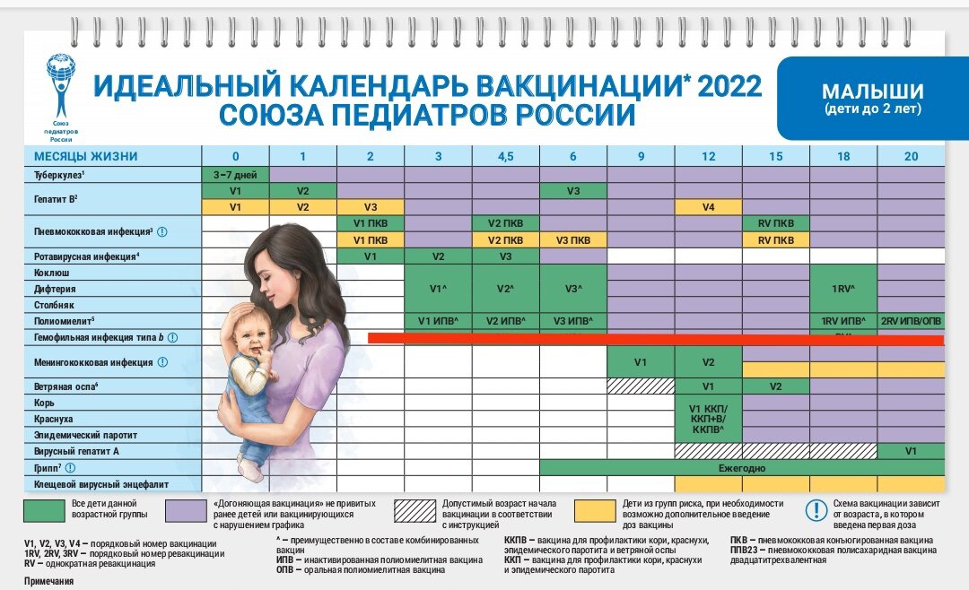 Прививки календарь прививок 2022. Календарь прививок для детей в России 2022. Национальный календарь прививок для детей в России 2022 года таблица. Календарь прививок для детей в России 2022 год. Календарь прививок для новорожденных 2022.