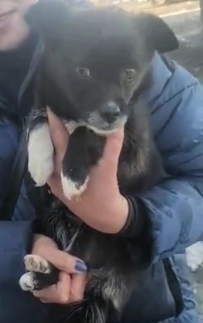 Будущая Миланья