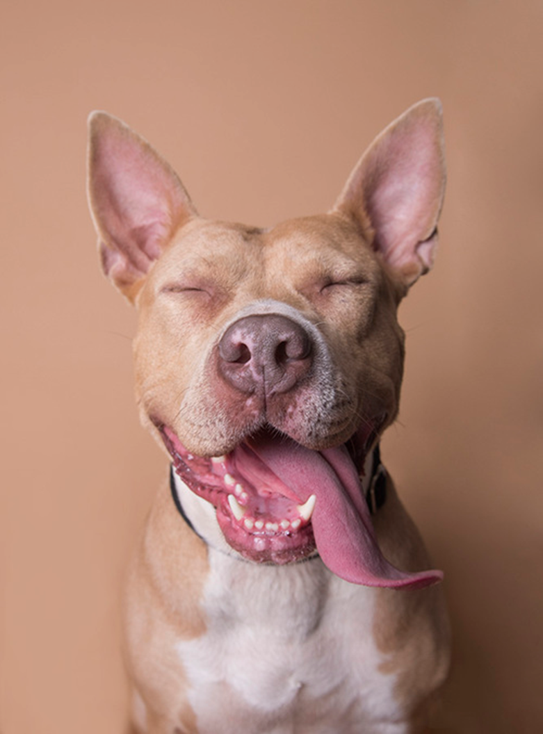 фото: Софи Гаманд