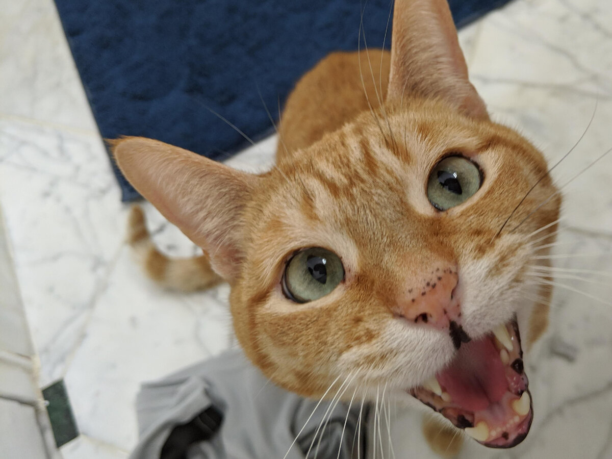 Фото из Интернета.