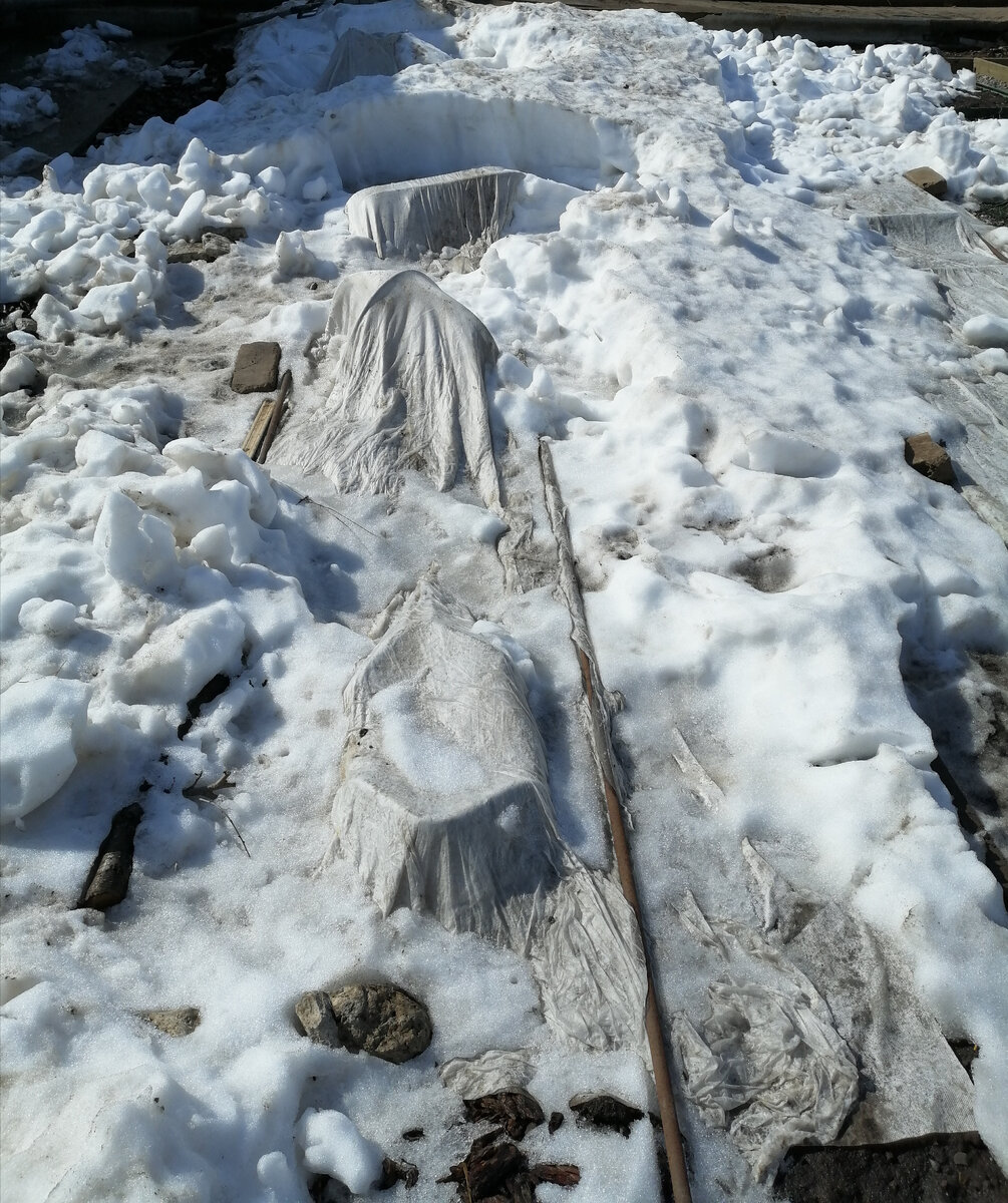 Как могла раскидала снег 