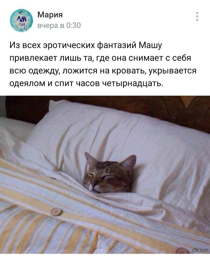 Нашли где-то в просторах интернета, автор неизвестен