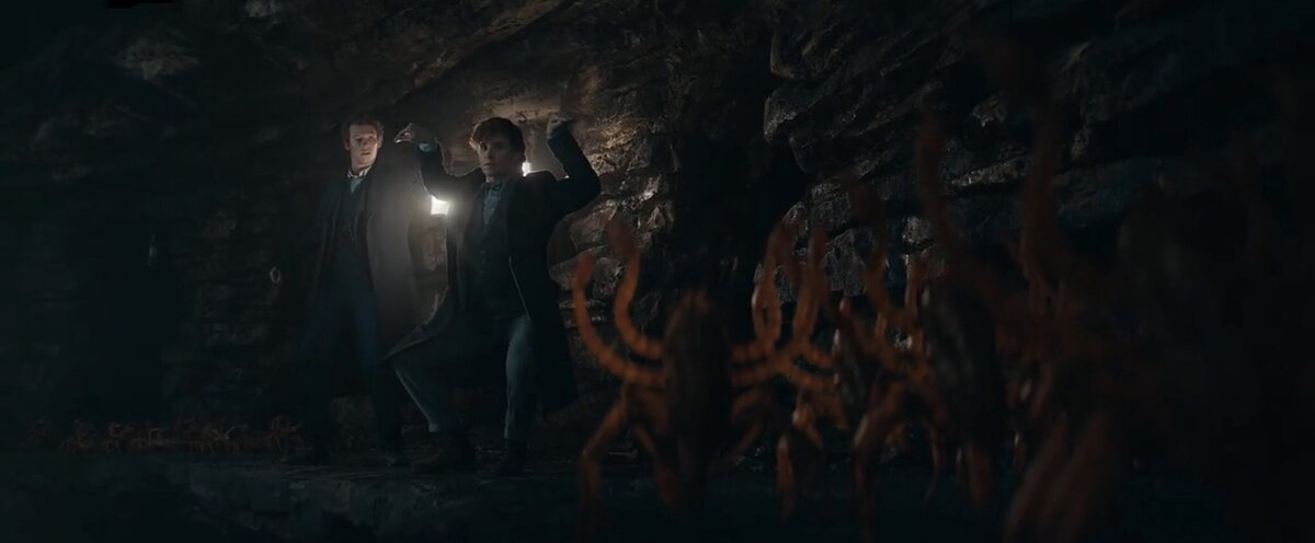 Кадр из фильма «Фантастические твари: тайны Дамблдора», 2022