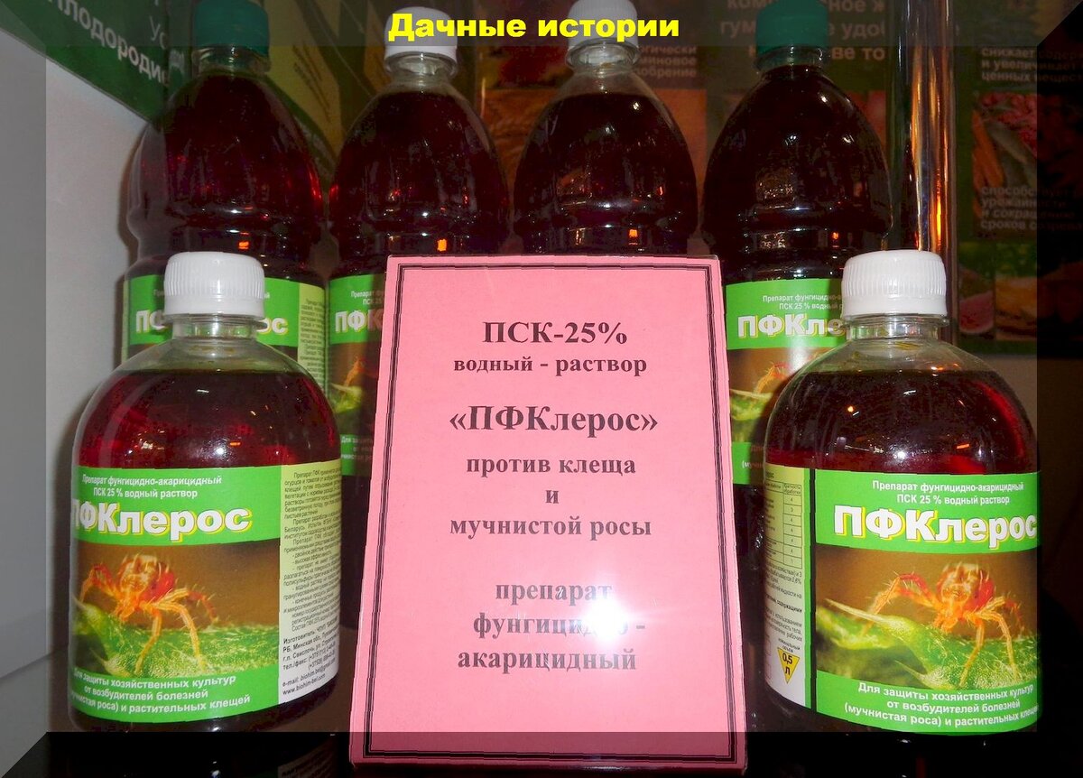 Пфклерос препарат инструкция по применению отзывы аналоги. ПСК препарат фунгицидно-акарицидный. ПФКЛЕРОС 0.5Л фунгицид. ПСК препарат фунгицидно-акарицидный 25%. Препарат клерос от клещей.