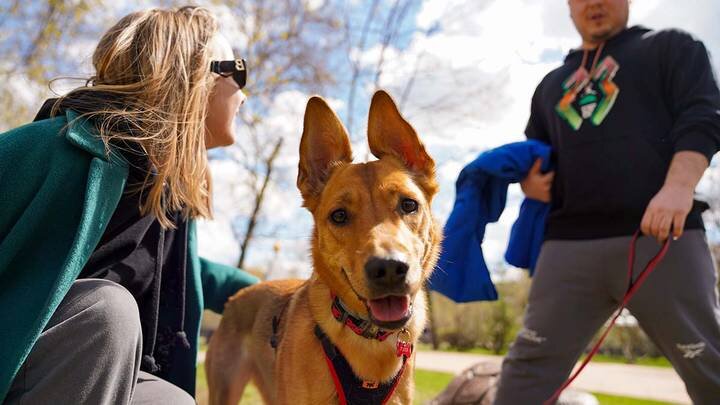 Фото: Пелагия Тихонова / АГН Москва 
