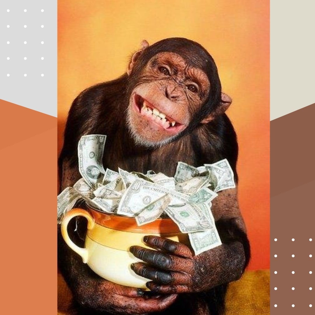 Обезьяна - инвестор.