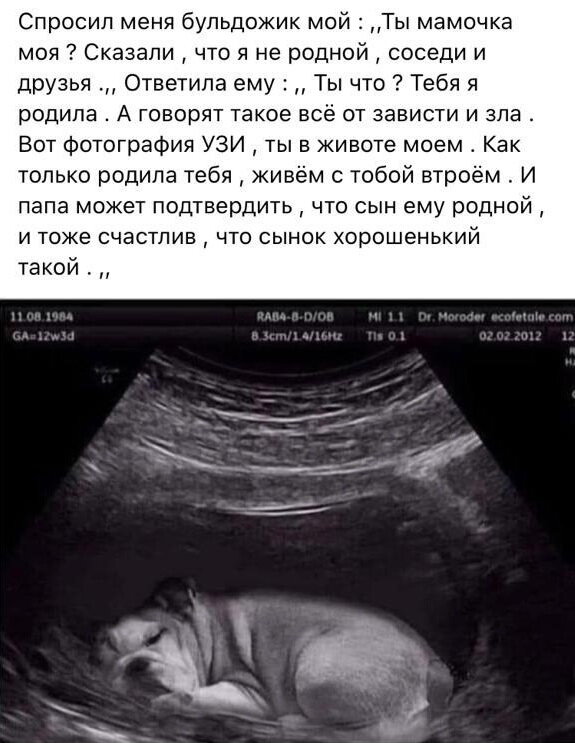 Скриншот поста, опубликованного в одной из соцсетей